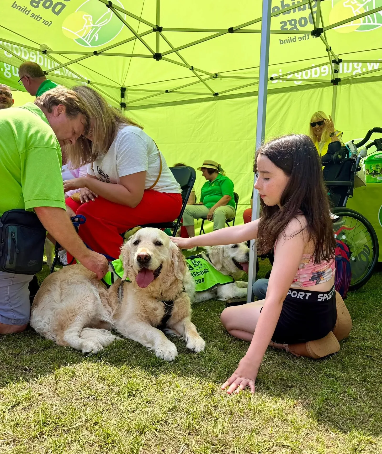 Standul Paws Self Wash la un festival canin, cu un golden retriever